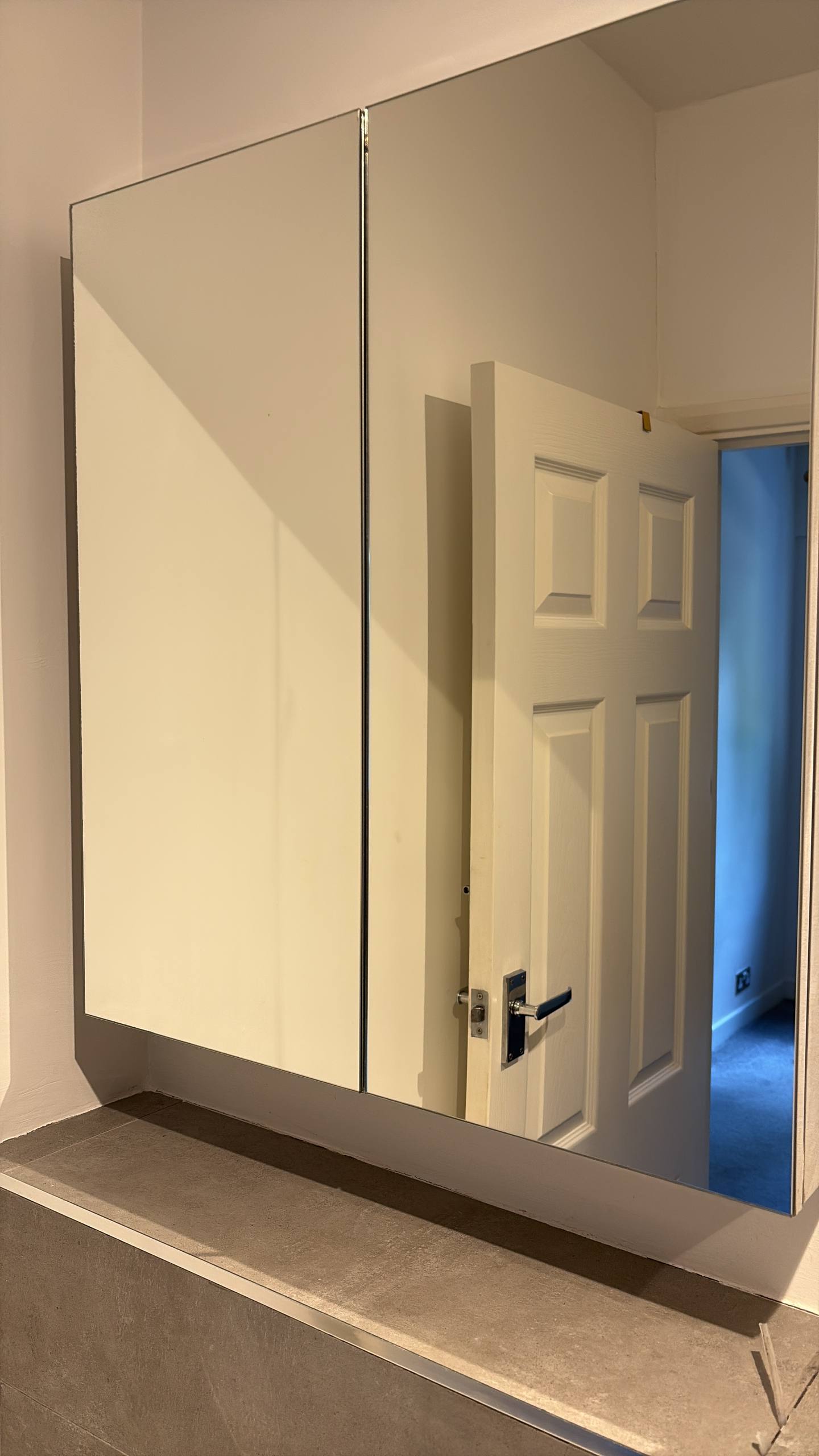 Mirrored cabinet photographed after cleaning